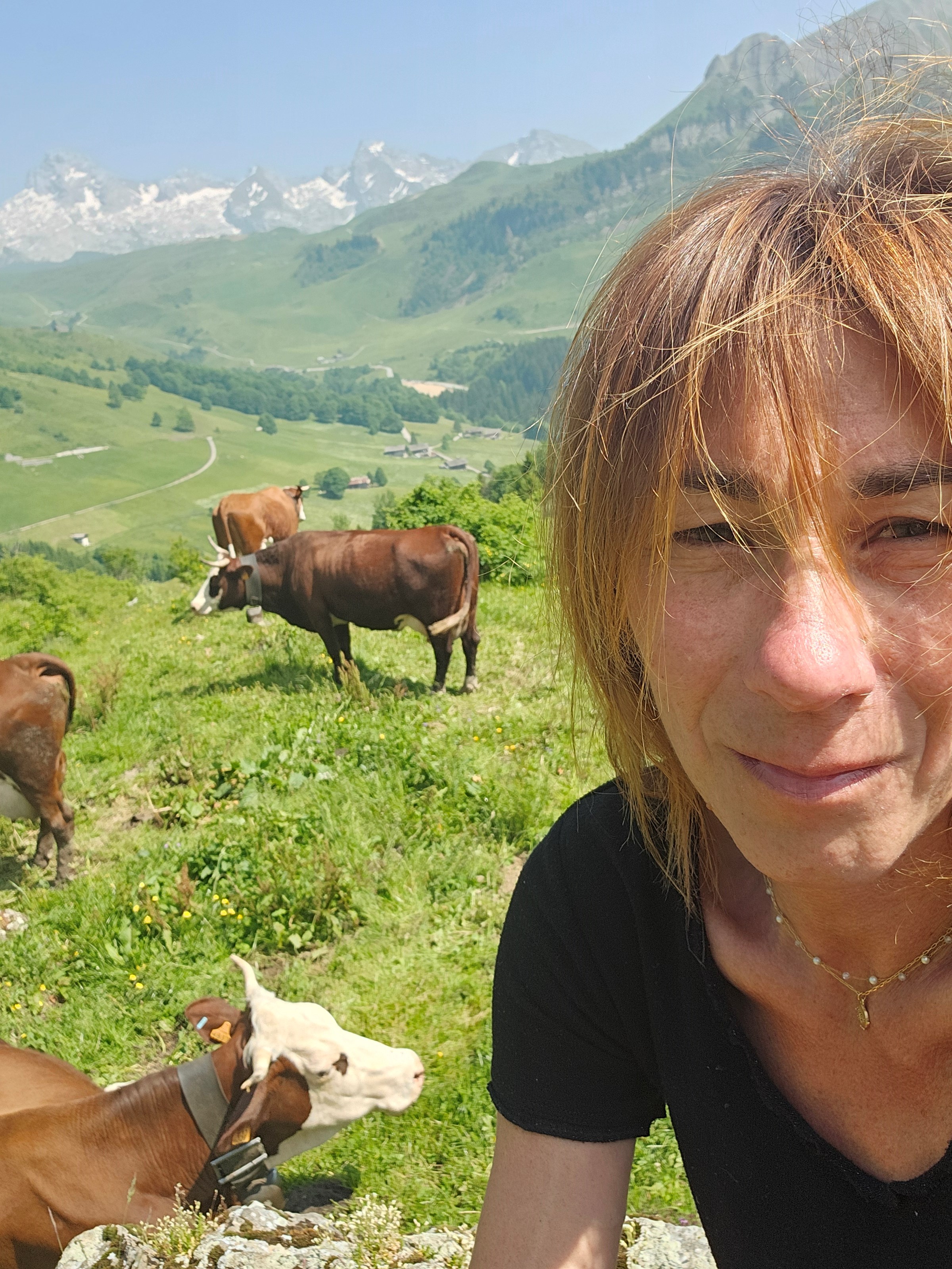 <p><strong>Karine Fournier-Bidoz . Agricultrice productrice de reblochon AOP Bio</strong></p><p><br>"Parce que la tradition n'est p&eacute;renne que si elle se modernise.. Ici elle se pr&eacute;serve aussi au f&eacute;minin pour la qualit&eacute; Reblochon, nos valeurs et le respect de nos belles montagnes "</p> -image